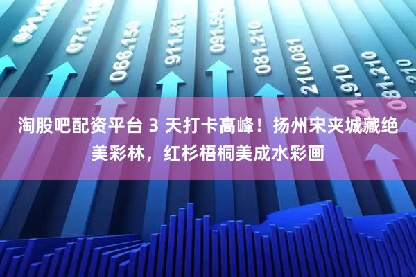 淘股吧配资平台 3 天打卡高峰!扬州宋夹城藏绝美彩林,红杉梧桐美成水彩画